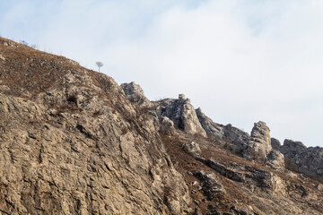 Fototapeta premium Dramatic rocky peak of Piatra Secuiului mountain with a lone bare tree on the steep slope against a cloudy sky in Rimetea, Romania
