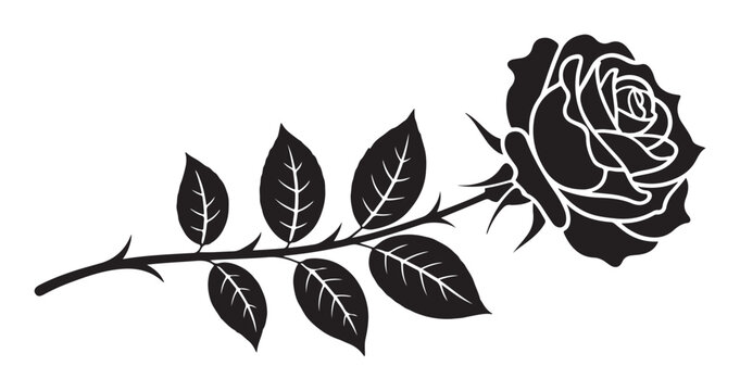 Single rose bloom with bud and leaves, stylized black and white illustration