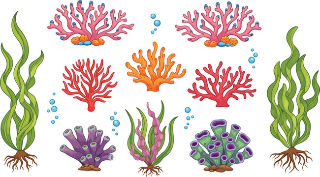 Colorful underwater coral reef illustration set with seaweed marine plants bubbles aquatic nature cartoon elements isolated on white background design