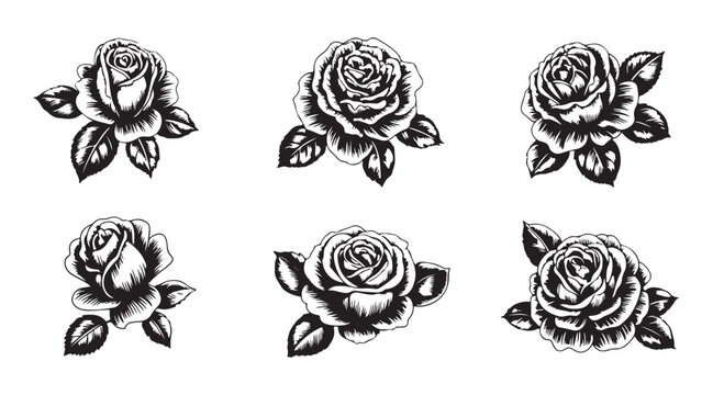 Set of black and white rose heads in various angles for vintage pattern design and floral tattoo concepts