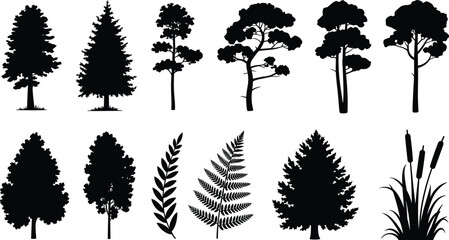 Black and white tree and plant silhouette collection, forest pine oak fern reed botanical vector illustration set isolated