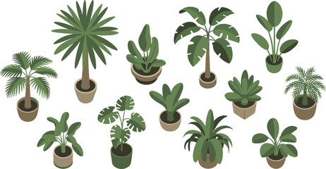 Isometric tropical houseplant collection set, flat vector illustration of potted palm monstera banana and indoor decorative plants