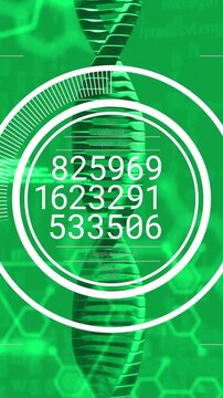 Vertical video: HUD appearing around DNA helix, rings rotating, numbers cycling, visualizing data