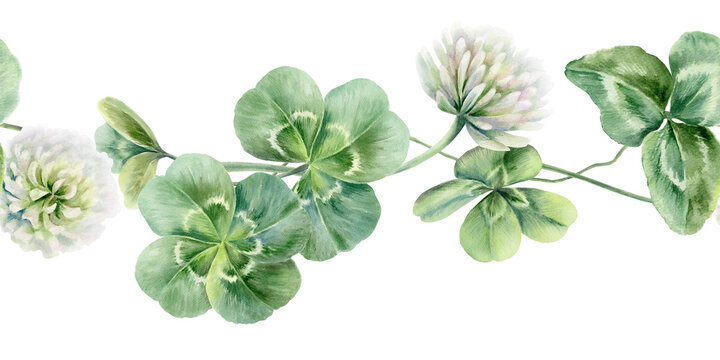 Seamless border of shamrocks and four leaves clover,white flowers.Watercolor ilustration,symbolizing luck and new beginnings,for wedding invitations,bridal party decor,romantic celebrations