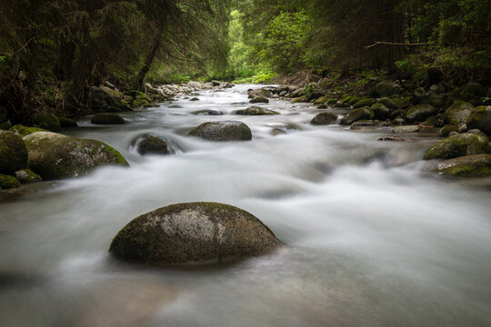 Boulders in Demanovka creek, Low Tatras, Slovakia