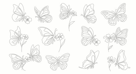 Obraz premium Collection of Diverse Butterfly Illustrations with Flowers, Artistic Art Design