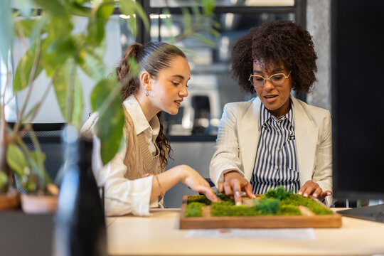 Businesswomen planning project together in modern office