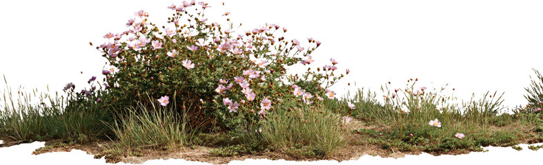 Naklejka premium Wild Rose Bush Flourishing in a Natural Meadow Under Sunlight
