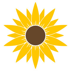 sunflower vector illustration