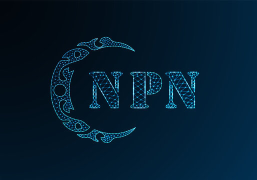 Low poly letter logo NPN design. NPN letter logo low poly vector design on blue color gradient background. NPN logo low poly design
