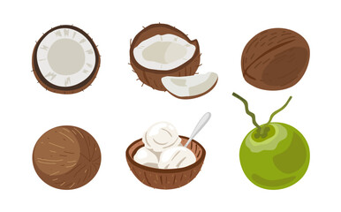 A collection of illustrations of coconuts on a white background.