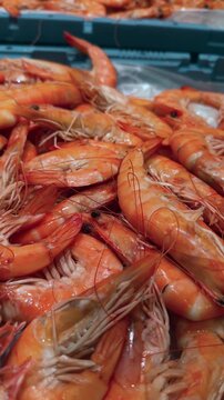 Freshly caught crustaceans displayed attractively for buyers