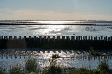 Breakwater in the sea with beach at low tide under a blue sky