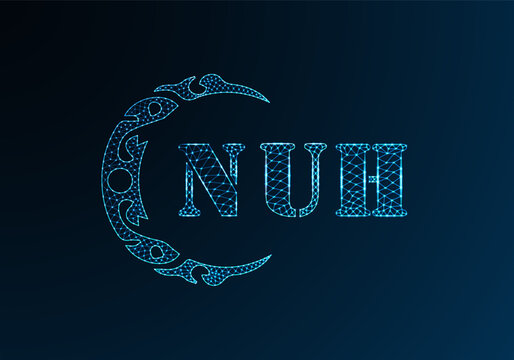Low poly letter logo NUH design. NUH letter logo low poly vector design on blue color gradient background. NUH logo low poly design