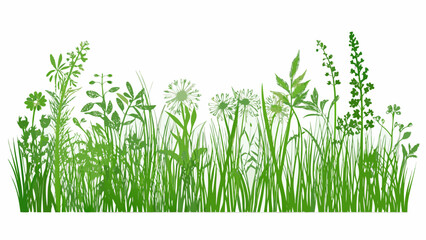 A vibrant illustration of various green grasses wildflowers and leafy plants © Indira