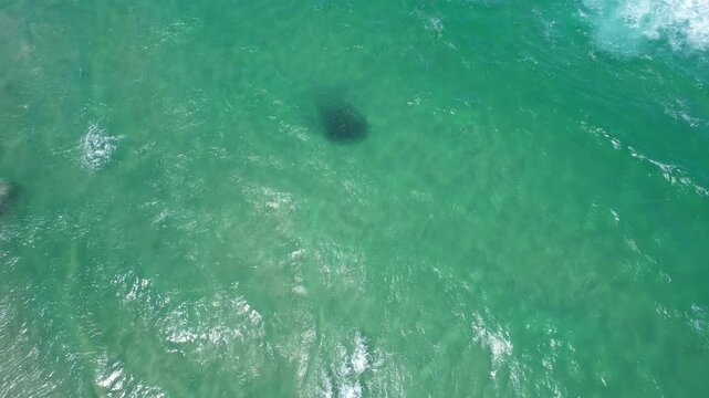 Foamy Waves And Baitfish Seen Through Clear waters In Tallow Beach, NSW, Australia. - aerial shot