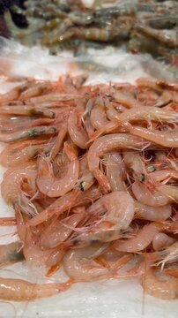 Seafood buyer comparing pink shrimp and grey prawns at stall