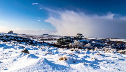 Frost-covered vegetation and snowdrifts on a rugged winter hillside under dramatic sky