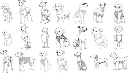 Hand Drawn Stylish Dressed Dog Character Illustration Collection