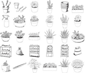 Hand Drawn Succulent and Cactus Potted Plant Illustration Collection