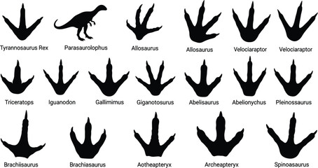 Dinosaur Footprint Silhouette Set with Prehistoric Trackways for Tyrannosaurus Rex Triceratops Velociraptor and Spinosaurus for Paleontology Education and Museum Exhibits © Roni