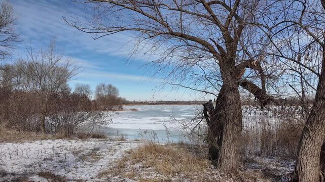 Serene winter scene of a frozen lake with thin ice layers, bubbles beneath, dry reeds emerging, snow patches on edges,