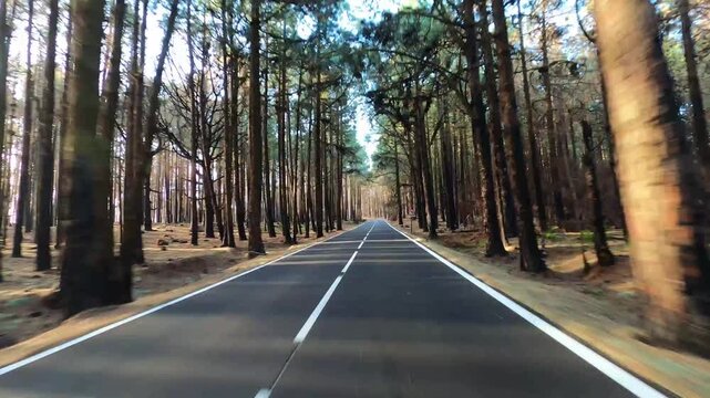 Road trip across panoramic mountain scenery with empty asphalt route ahead, driver perspective representing freedom, tourism and outdoor exploration