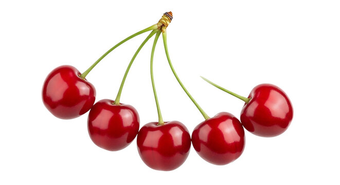 Fresh red cherries cluster isolated on transparent background with green stems and juicy texture