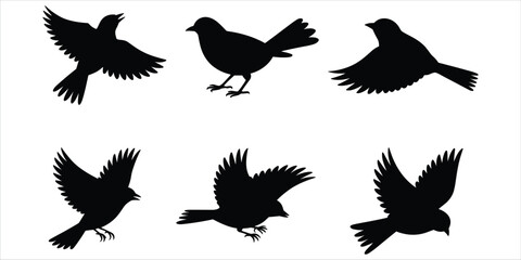 Six Black Silhouettes of Birds in Various Flying and Perching Poses Keywords: bird, silhouette, flying, perching, wings © MdAbdur