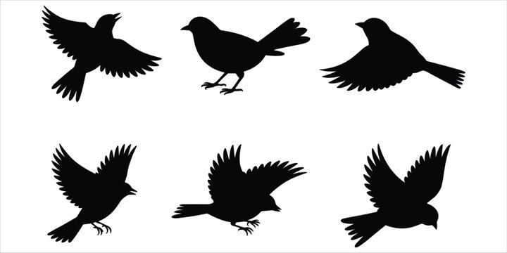 Six Black Silhouettes of Birds in Various Flying and Perching Poses Keywords: bird, silhouette, flying, perching, wings