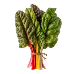 Fresh Green Asparagus Bunch Isolated on White &ndash; Organic Healthy Vegetable Food