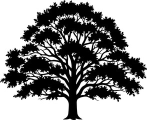 Obraz premium Mature Tree silhouette vector illustration