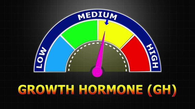 4K Animated Growth Hormone (GH) Level Meter Increasing from Low to High Levels , Monitoring Pituitary Function and Developmental Health.