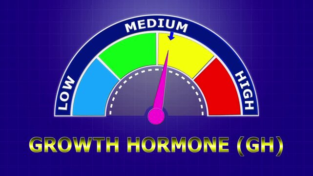 4K Animated Growth Hormone (GH) Level Meter Increasing from Low to High Levels , Monitoring Pituitary Function and Developmental Health.