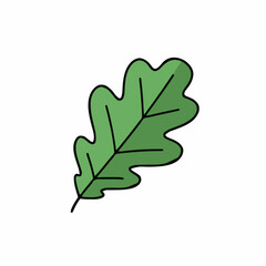 A Single Green Oak Leaf With Dark Outlines and Subtle Shadowing On a Clean White Background