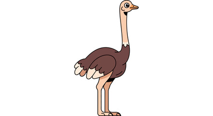 Cartoon illustration of a smiling ostrich standing upright © rohim
