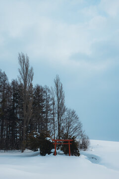 View of a solitary red torii gate nestled in the snowy embrace of winter, a stark contrast against the muted sky and frosted trees, Biei, Hokkaido, Japan.