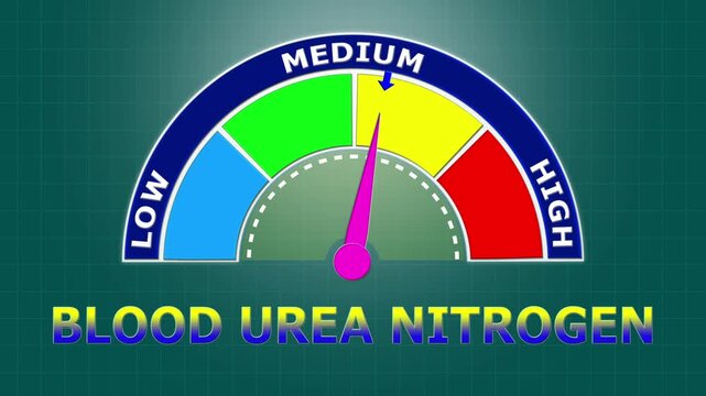 4K Animated Blood Urea Nitrogen (BUN) Level Meter Increasing from Low to High Levels , Assessing Kidney Function and Metabolic Health.
