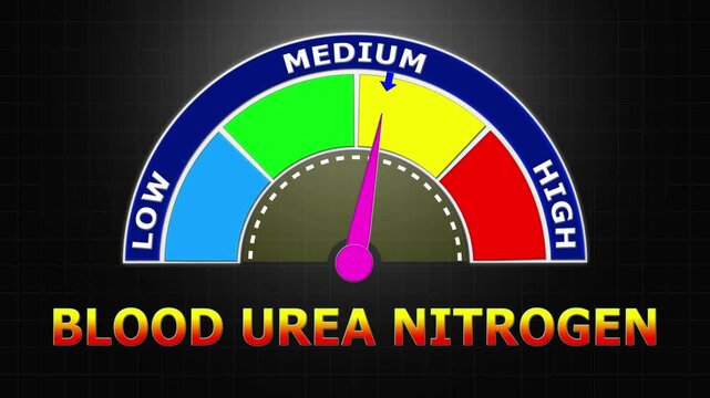 4K Animated Blood Urea Nitrogen (BUN) Level Meter Increasing from Low to High Levels , Assessing Kidney Function and Metabolic Health.