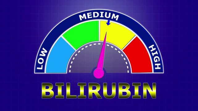 4K Animated Bilirubin Level Meter Increasing from Low to High Levels , Assessing Liver Function and Jaundice Risk through Pigment Levels.