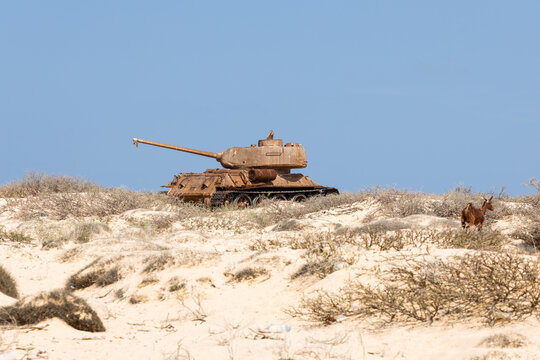 View of a weathered, abandoned tank rests atop a sandy dune under a clear sky, with sparse vegetation adding texture, Qalansiyah, Socotra, Yemen.