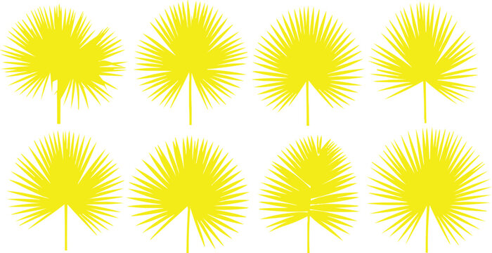 The image shows eight yellow fan palm leaves arranged in two rows. Each leaf is depicted in a stylized manner, showing a central stem from which multiple segments radiate outward, resembling the shape