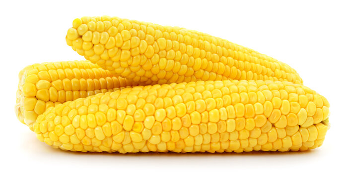Fresh ripe yellow corn cobs isolated on white background