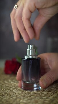 Vertical video of opening black perfume bottle and preparing for natural perfume making. Luxury fragrance concept with essential oils and red rose on dark and beige background.