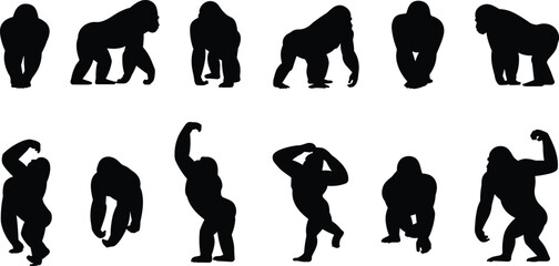 Gorilla silhouette set in different poses, wild animal vector collection, jungle wildlife illustration, flat black monkey shapes pack © Julfikar