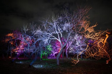 茨城県水戸市　偕楽園のライトアップ