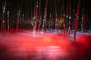 茨城県水戸市　偕楽園のライトアップ