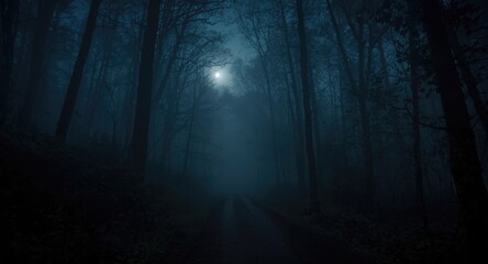 Fototapeta premium Night forest path cloaked in thick mist and quiet solitude