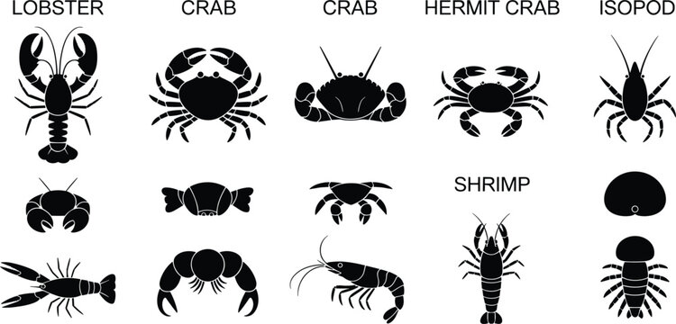 Collection of black silhouettes featuring labeled marine crustaceans including lobster crab hermit crab shrimp and isopod species isolated on a clean white background for design