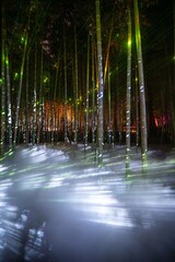 茨城県水戸市　偕楽園のライトアップ